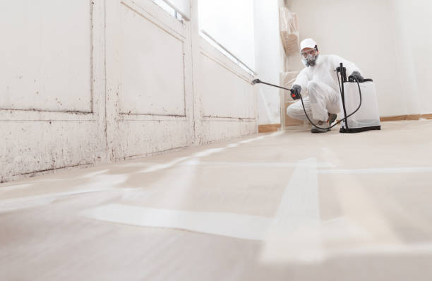 24/7 Emergency Mold Inspection experts in Carversville, PA