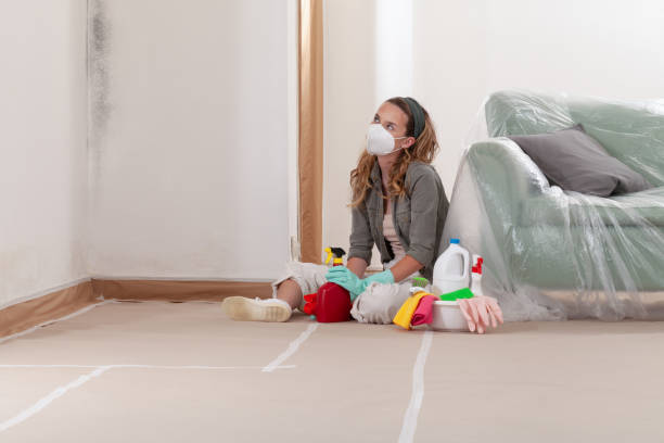 Reliable Mold Inspection contractor in Carversville, PA by WQB Mold Removal