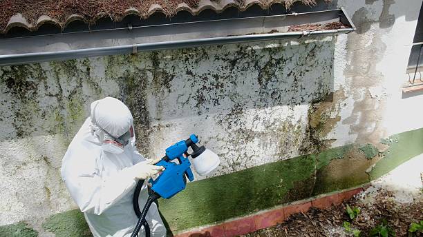 Top rated local Mold Inspection specialists in Carversville, PA